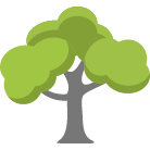 Ormond Beach Tree Removal
