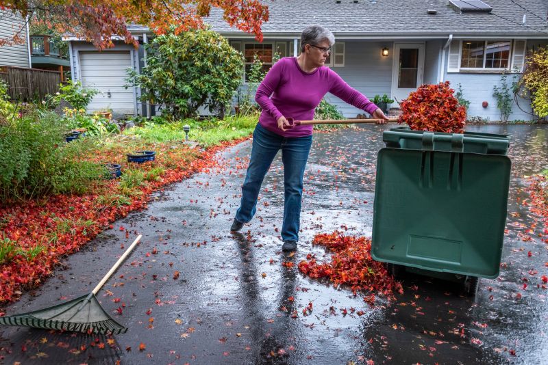 Leaf Disposal