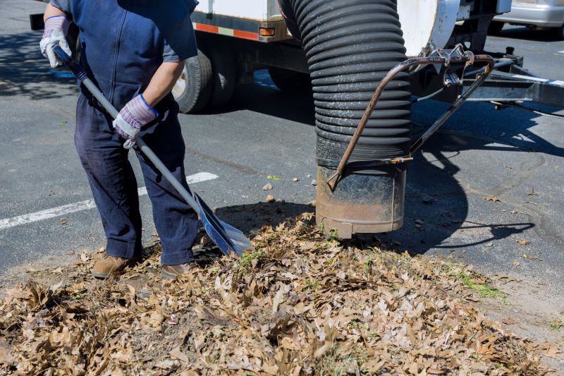 Efficient Leaf Collection