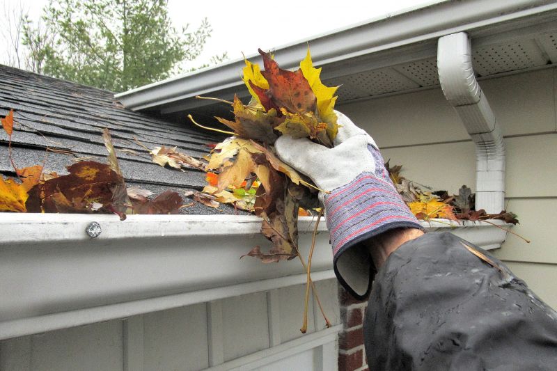 Property Maintenance