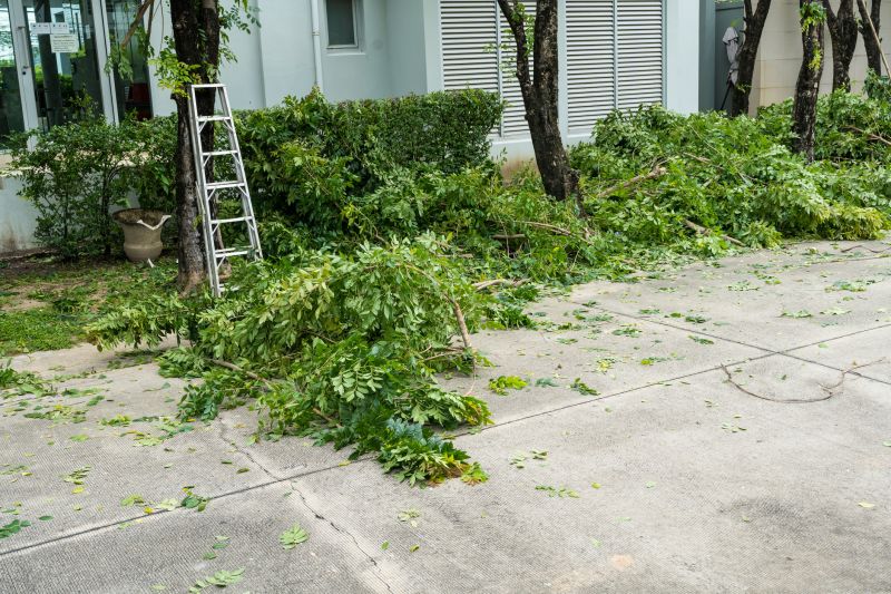 Post-removal Landscape