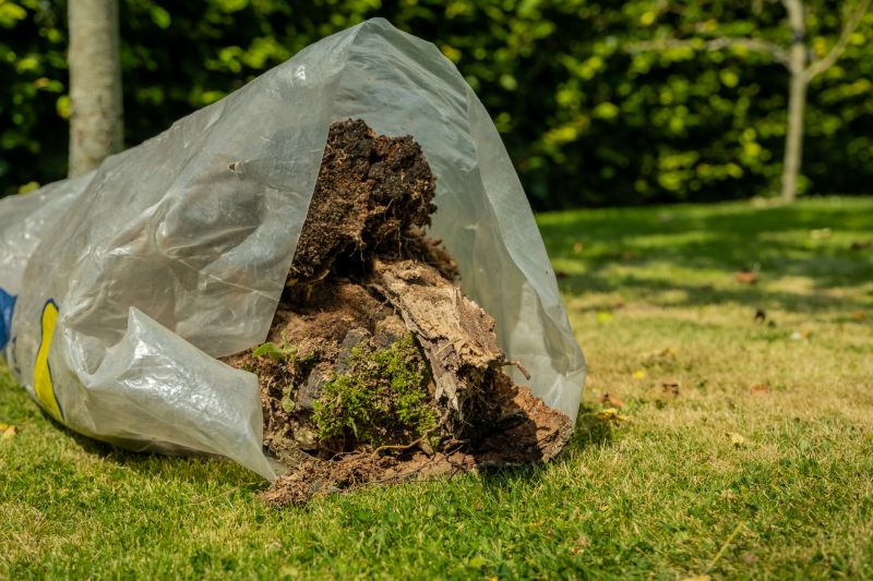 Post-Removal Site Preparation