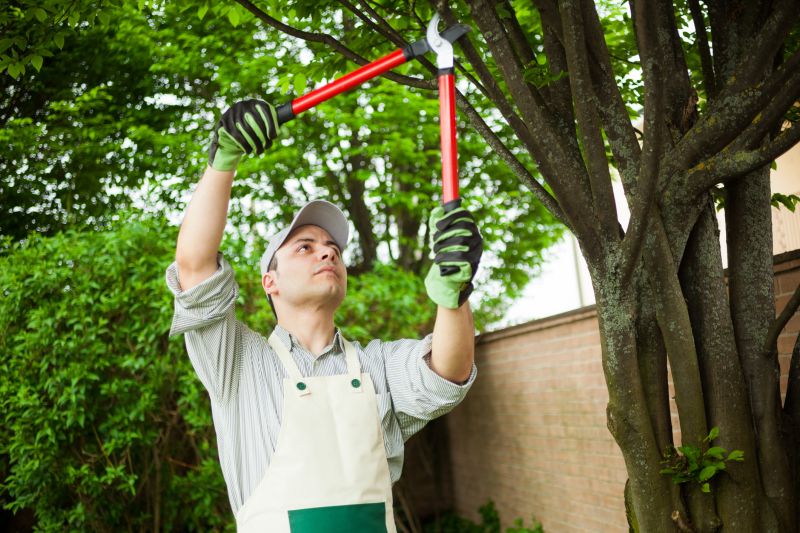 Quick Maintenance Habit