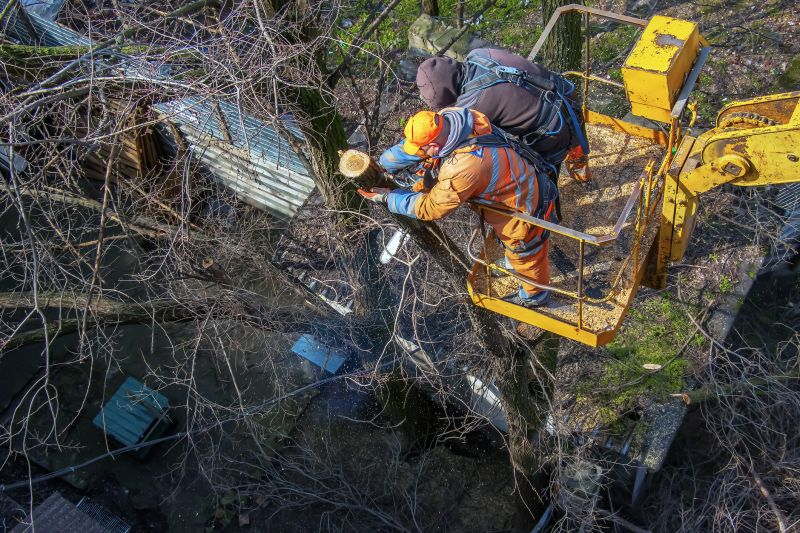 Tree Cutting Equipment