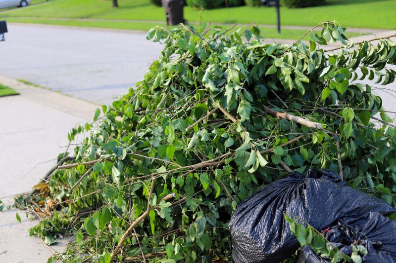 Disposal of Removed Trees