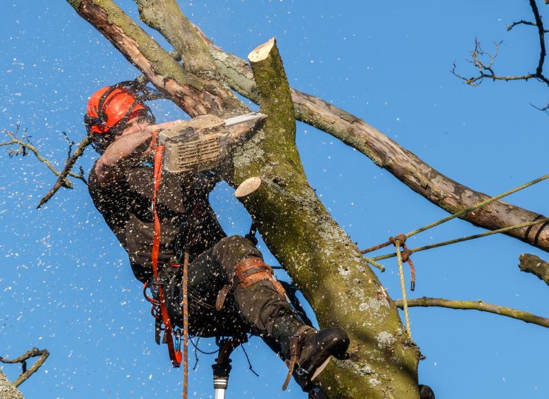 Safety Equipment and Precautions