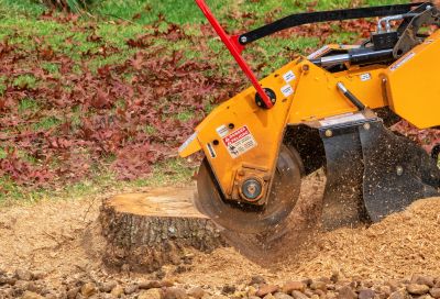 Cleanup and Debris Removal